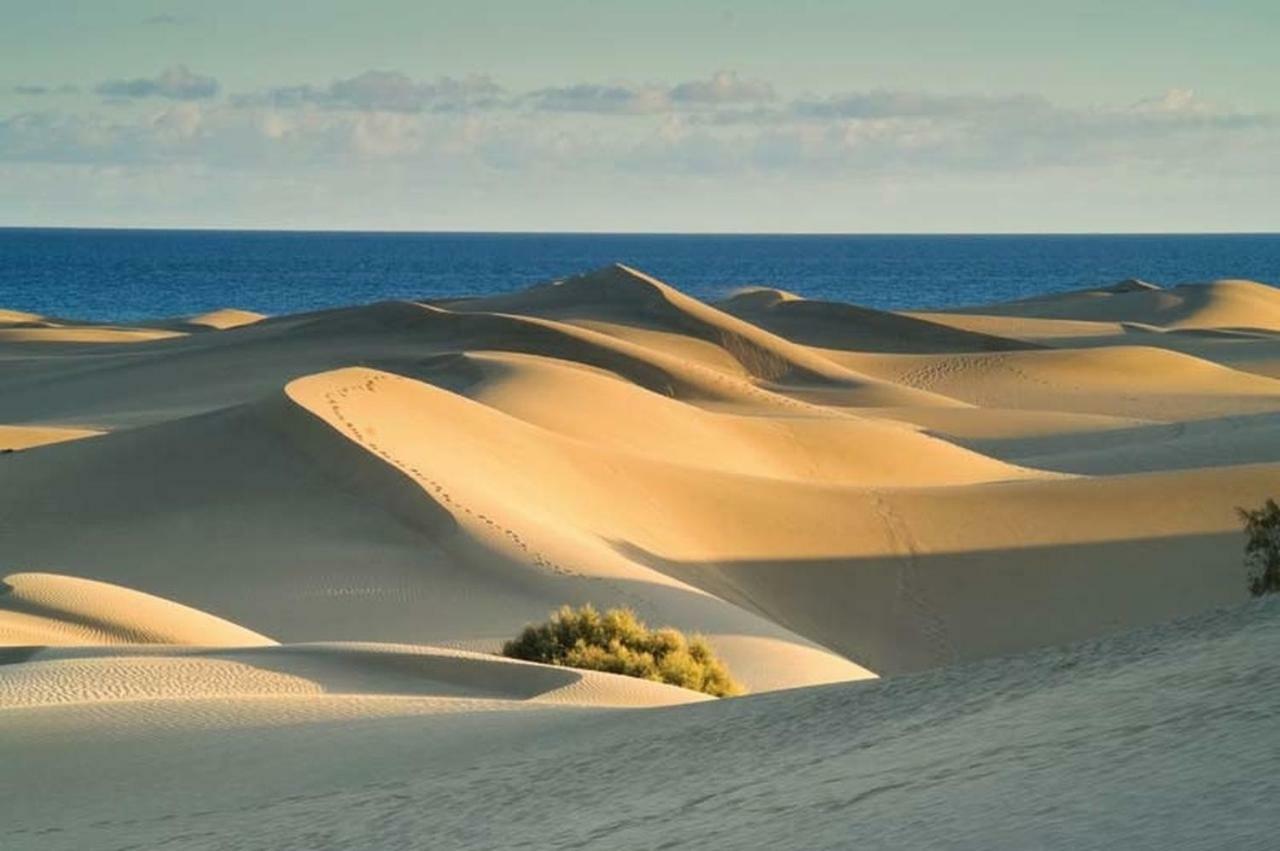 Las Olas Beach Playa del Ingles  Dış mekan fotoğraf